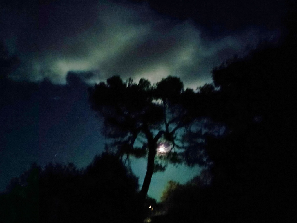 85ed1690 a0fd 4612 a7e2 6352c8ccd851 1 105 c